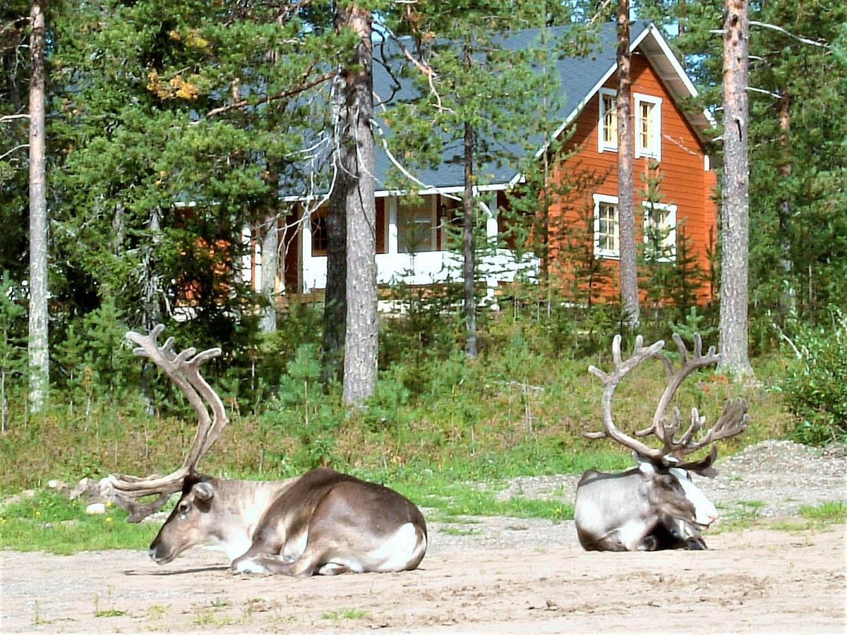 Riekko Chalet Rovaniemi Exterior foto